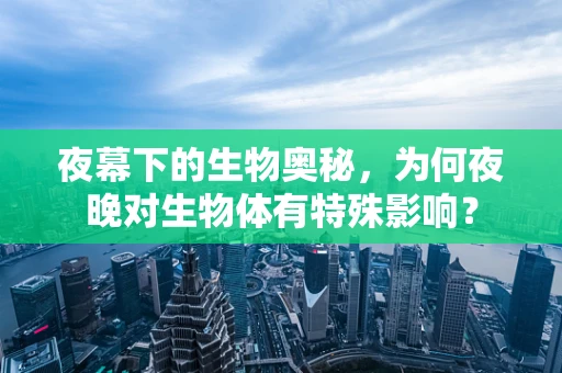 夜幕下的生物奥秘，为何夜晚对生物体有特殊影响？