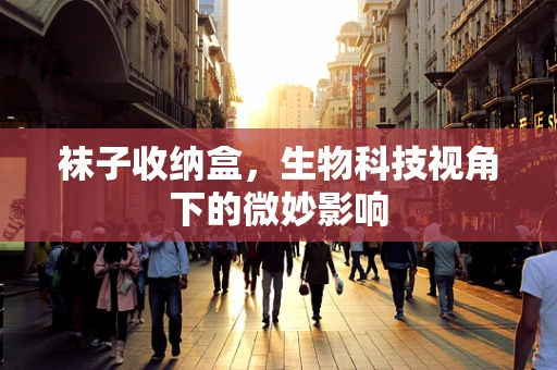 袜子收纳盒，生物科技视角下的微妙影响