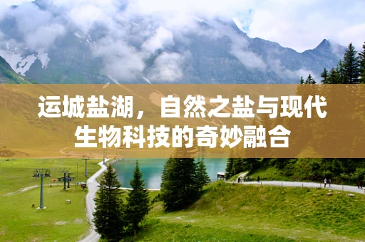 运城盐湖，自然之盐与现代生物科技的奇妙融合