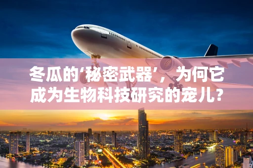 冬瓜的‘秘密武器’，为何它成为生物科技研究的宠儿？