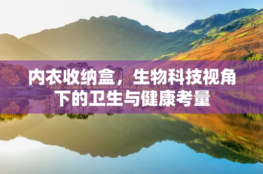 内衣收纳盒，生物科技视角下的卫生与健康考量