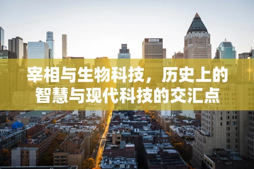 宰相与生物科技，历史上的智慧与现代科技的交汇点