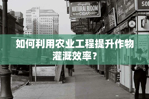 如何利用农业工程提升作物灌溉效率？
