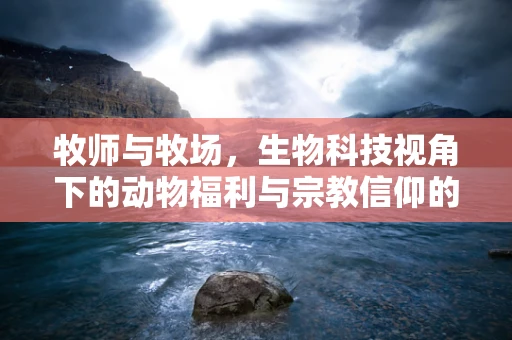 牧师与牧场，生物科技视角下的动物福利与宗教信仰的和谐共融