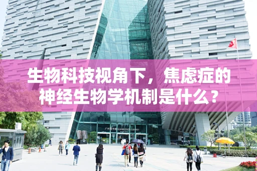 生物科技视角下，焦虑症的神经生物学机制是什么？