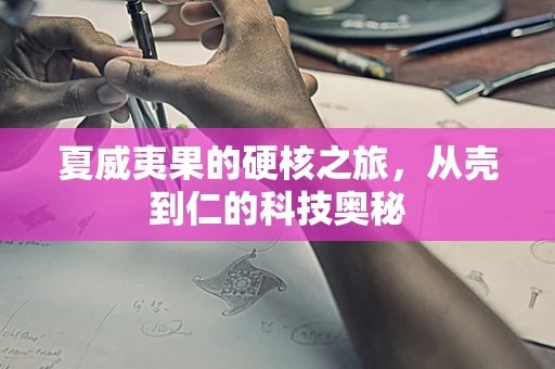 夏威夷果的硬核之旅，从壳到仁的科技奥秘