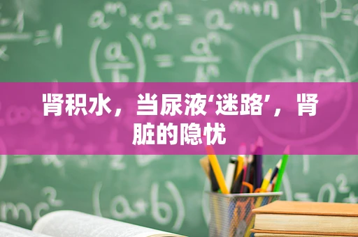 肾积水，当尿液‘迷路’，肾脏的隐忧