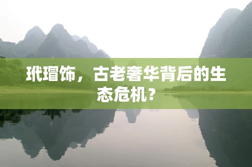 玳瑁饰，古老奢华背后的生态危机？