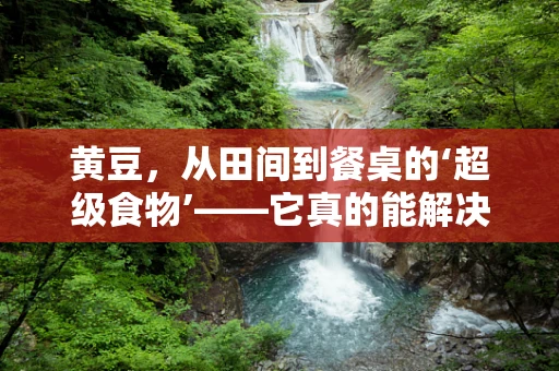 黄豆，从田间到餐桌的‘超级食物’——它真的能解决所有健康问题吗？