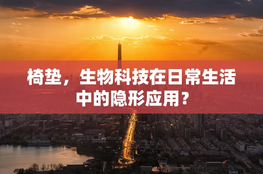 椅垫，生物科技在日常生活中的隐形应用？