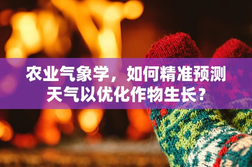 农业气象学，如何精准预测天气以优化作物生长？