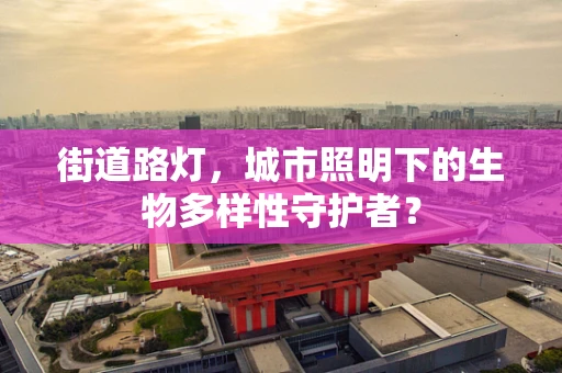 街道路灯，城市照明下的生物多样性守护者？