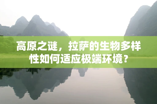 高原之谜，拉萨的生物多样性如何适应极端环境？