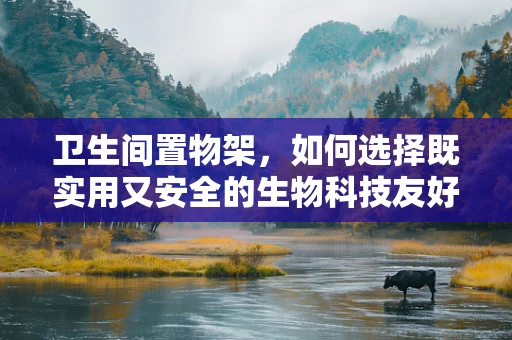 卫生间置物架，如何选择既实用又安全的生物科技友好型？