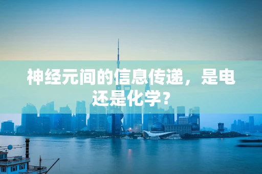 神经元间的信息传递，是电还是化学？