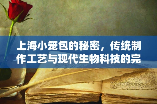 上海小笼包的秘密，传统制作工艺与现代生物科技的完美融合？