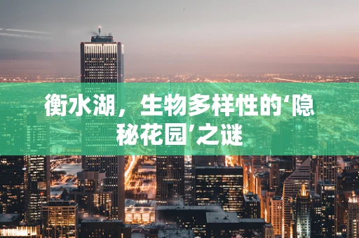 衡水湖，生物多样性的‘隐秘花园’之谜