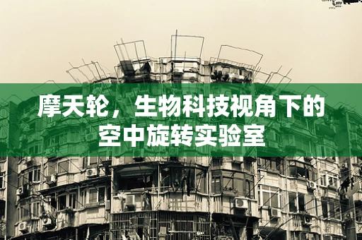 摩天轮，生物科技视角下的空中旋转实验室