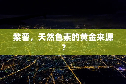 紫薯，天然色素的黄金来源？