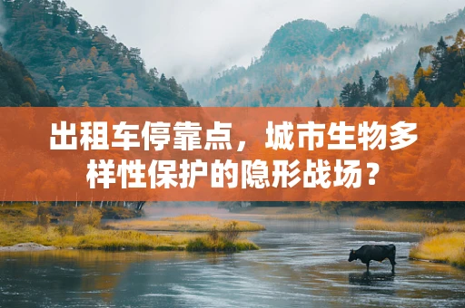 出租车停靠点，城市生物多样性保护的隐形战场？