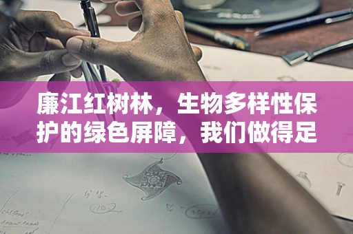 廉江红树林，生物多样性保护的绿色屏障，我们做得足够吗？