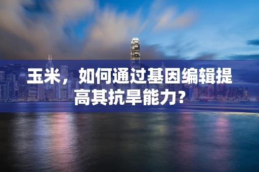 玉米，如何通过基因编辑提高其抗旱能力？