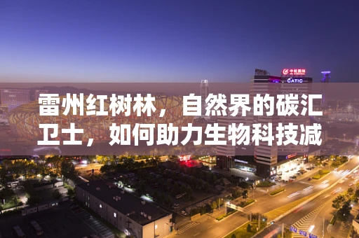 雷州红树林，自然界的碳汇卫士，如何助力生物科技减缓气候变化？