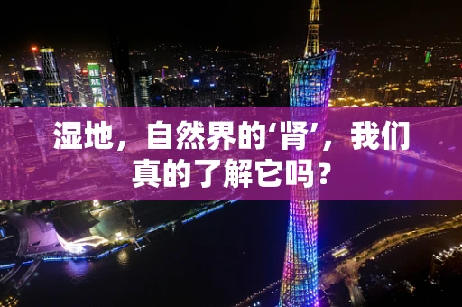 湿地，自然界的‘肾’，我们真的了解它吗？