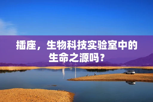 插座，生物科技实验室中的生命之源吗？
