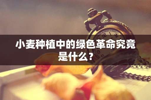 小麦种植中的绿色革命究竟是什么？