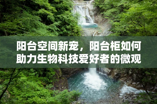 阳台空间新宠，阳台柜如何助力生物科技爱好者的微观世界？