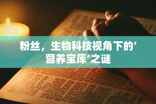 粉丝，生物科技视角下的‘营养宝库’之谜