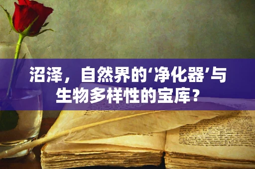 沼泽，自然界的‘净化器’与生物多样性的宝库？