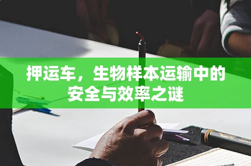 押运车，生物样本运输中的安全与效率之谜