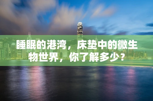 睡眠的港湾，床垫中的微生物世界，你了解多少？