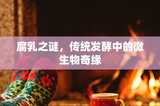 腐乳之谜，传统发酵中的微生物奇缘
