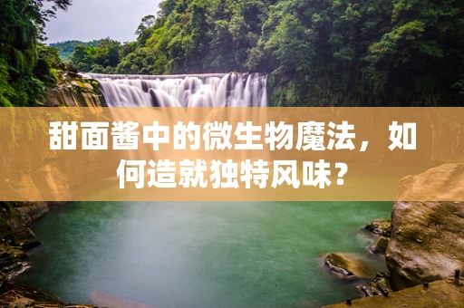 甜面酱中的微生物魔法，如何造就独特风味？