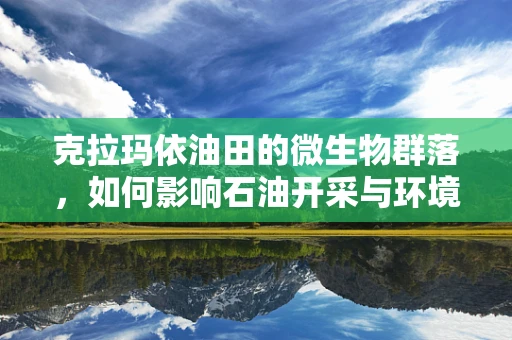 克拉玛依油田的微生物群落，如何影响石油开采与环境保护？