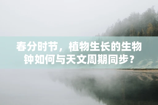 春分时节，植物生长的生物钟如何与天文周期同步？