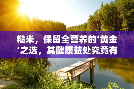 糙米，保留全营养的‘黄金’之选，其健康益处究竟有多深？