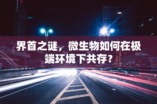 界首之谜，微生物如何在极端环境下共存？