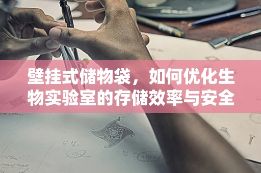 壁挂式储物袋，如何优化生物实验室的存储效率与安全？