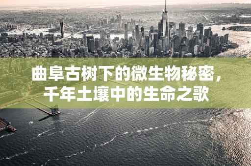 曲阜古树下的微生物秘密，千年土壤中的生命之歌