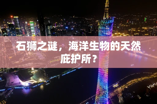 石狮之谜，海洋生物的天然庇护所？