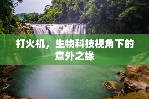 打火机，生物科技视角下的意外之缘