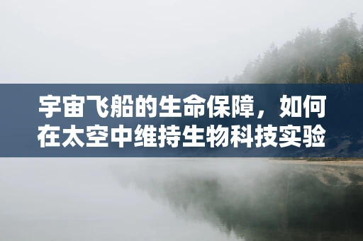 宇宙飞船的生命保障，如何在太空中维持生物科技实验的生态平衡？