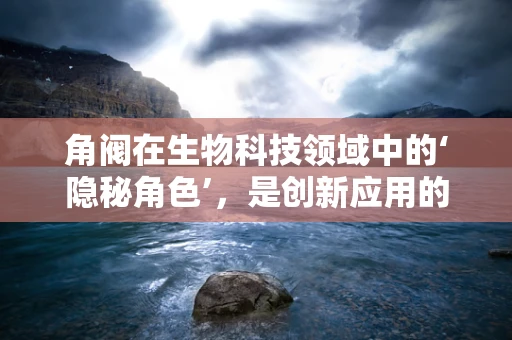 角阀在生物科技领域中的‘隐秘角色’，是创新应用的‘幕后英雄’吗？