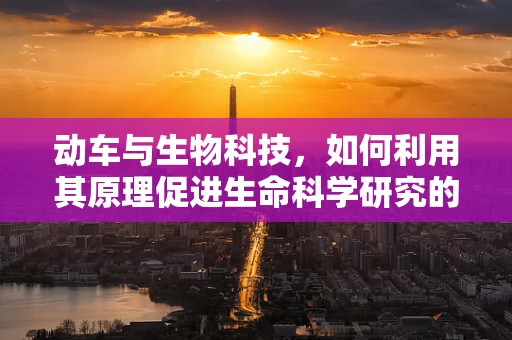 动车与生物科技，如何利用其原理促进生命科学研究的创新？