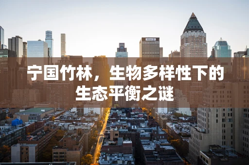 宁国竹林，生物多样性下的生态平衡之谜