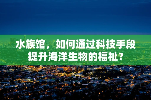 水族馆，如何通过科技手段提升海洋生物的福祉？